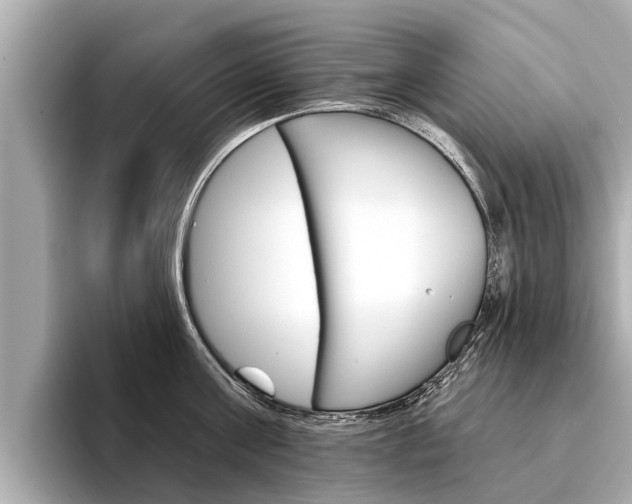 X0000094330811200711021130