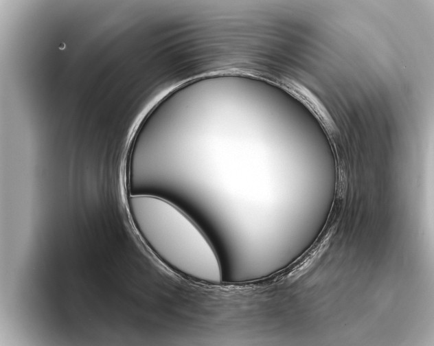 X0000094330812200711021130