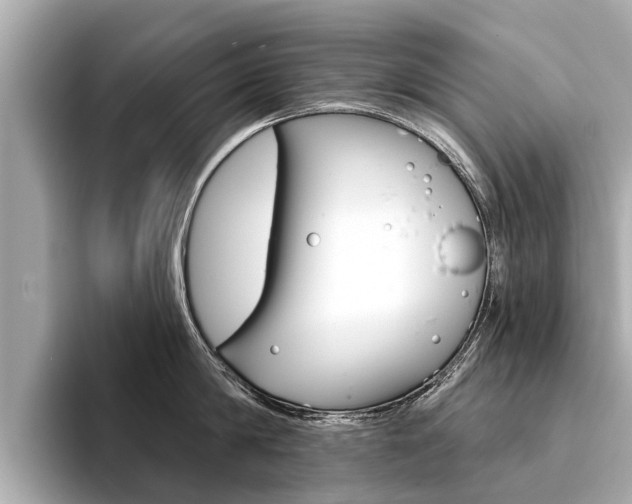 X0000094330814200711021130