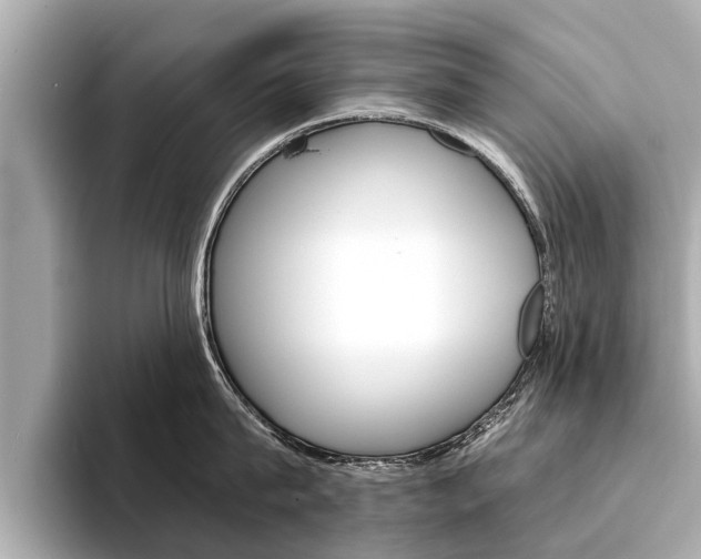 X0000094330815200711021130
