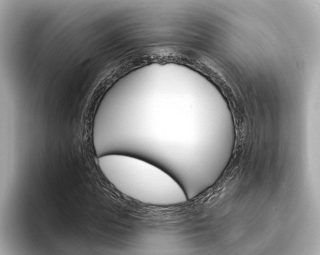 X0000094330823200711021129