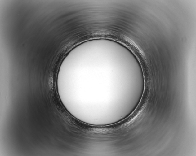 X0000094330825200711021129