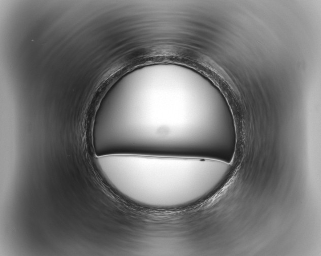 X0000094330826200711021129