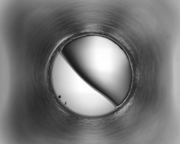 X0000094330830200711021129