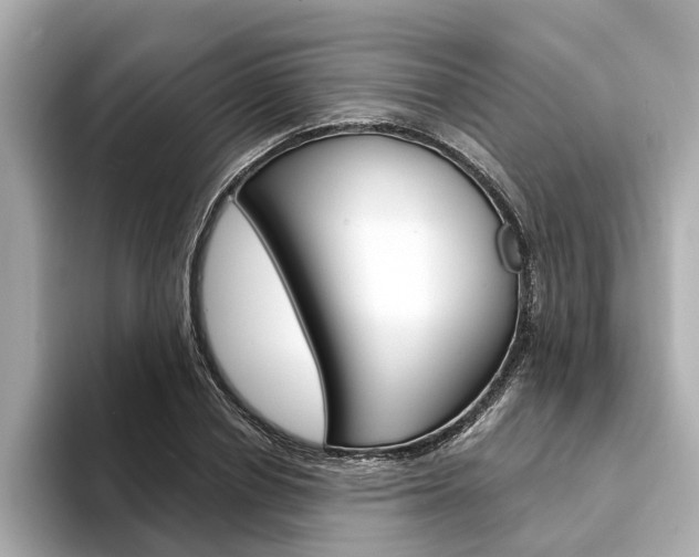 X0000094330834200711021129