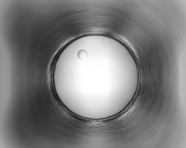 X0000094330835200711021129