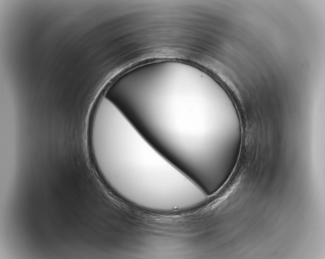 X0000094330837200711021129