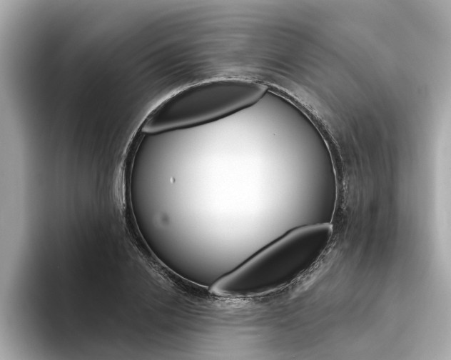 X0000094330838200711021129