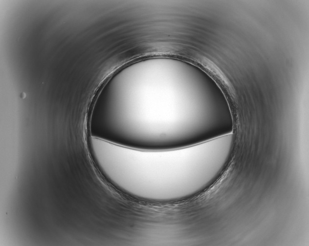 X0000094330842200711021129