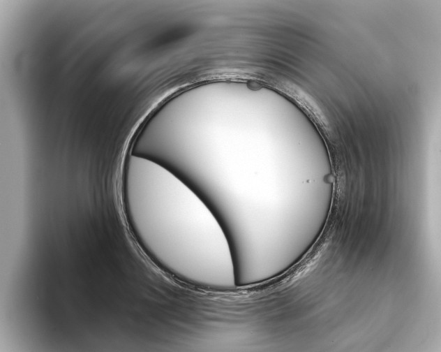 X0000094330844200711021129