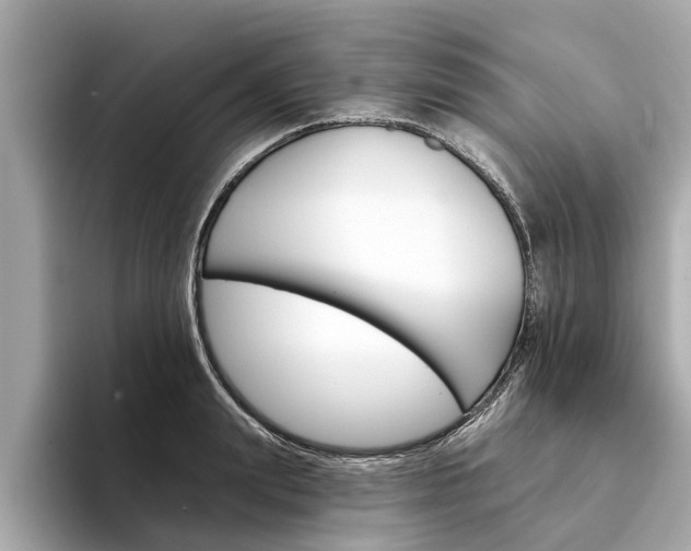 X0000094330847200711021130