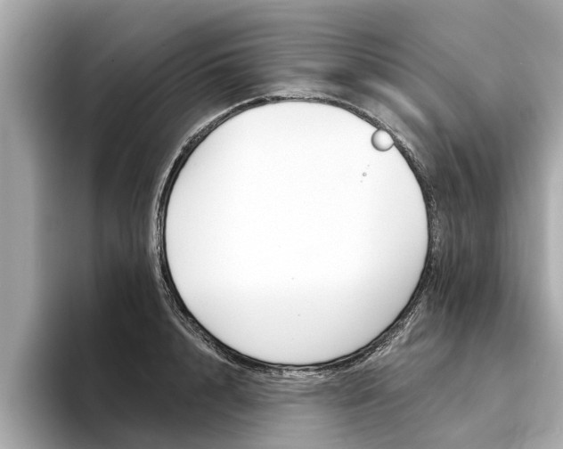 X0000094330848200711021130