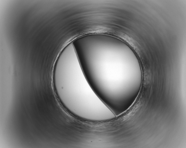 X0000094330850200711021130