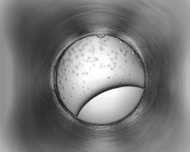 X0000094330851200711021130