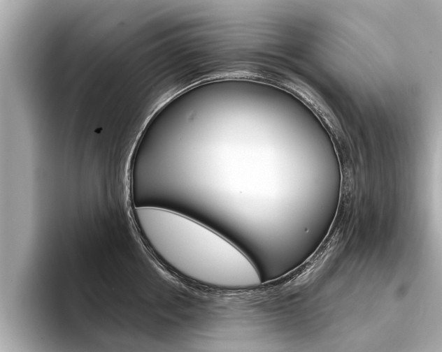 X0000094330858200711021130
