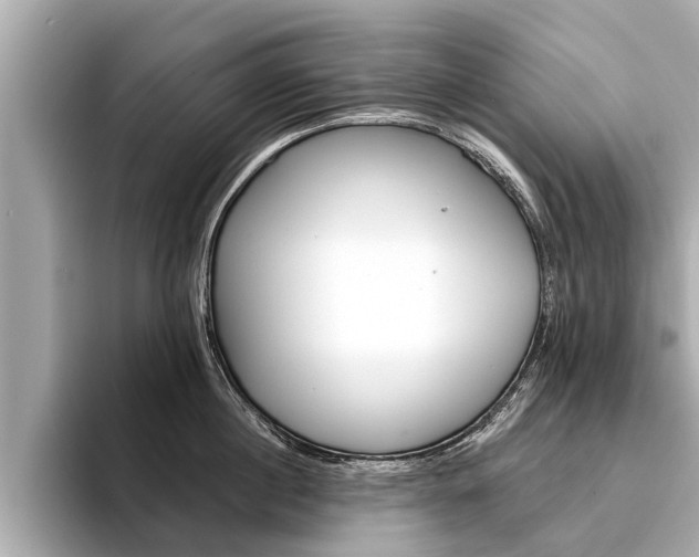 X0000094330860200711021130