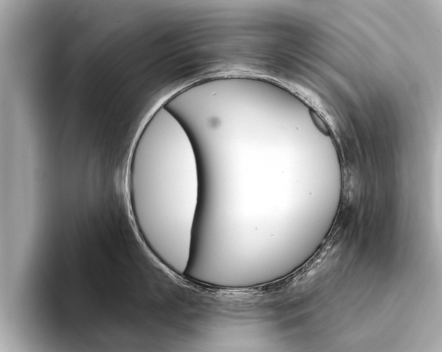 X0000094330863200711021130