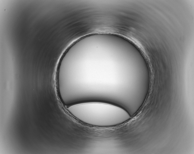 X0000094330864200711021130