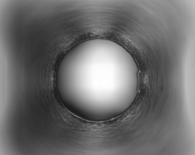 X0000094330868200711021129