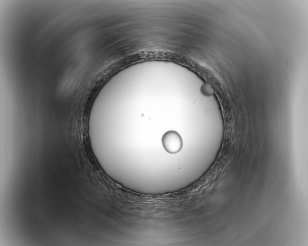 X0000094330870200711021129