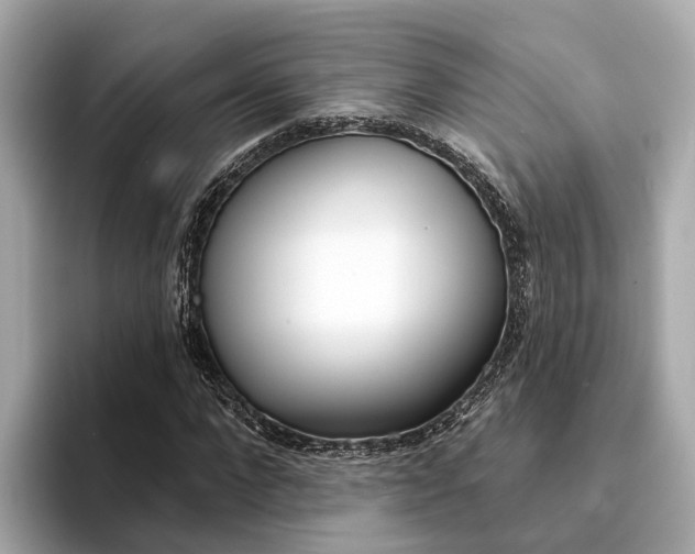 X0000094330872200711021129