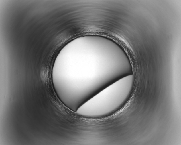 X0000094330873200711021129