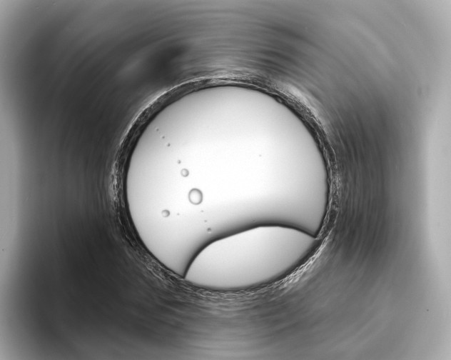 X0000094330875200711021129