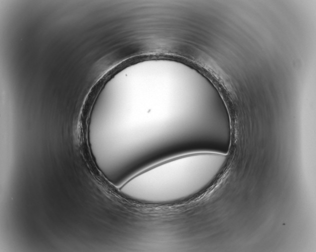 X0000094330876200711021129