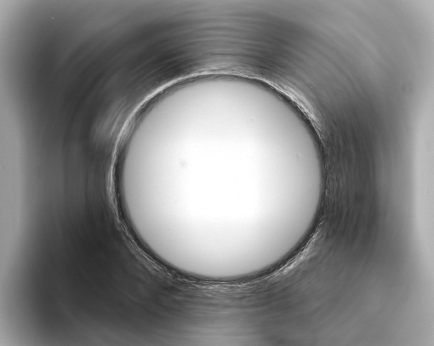 X0000094330880200711021129