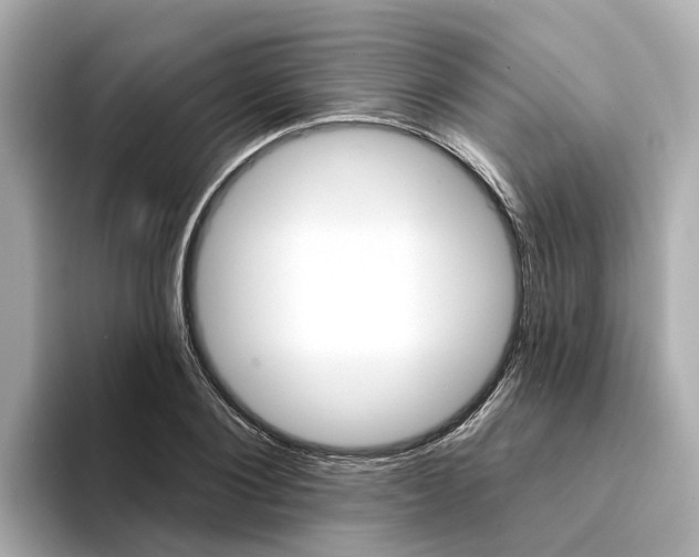 X0000094330884200711021129