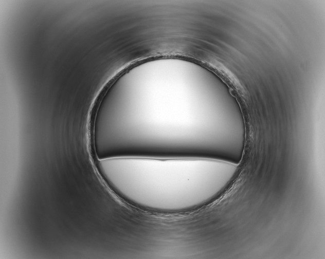 X0000094330894200711021129