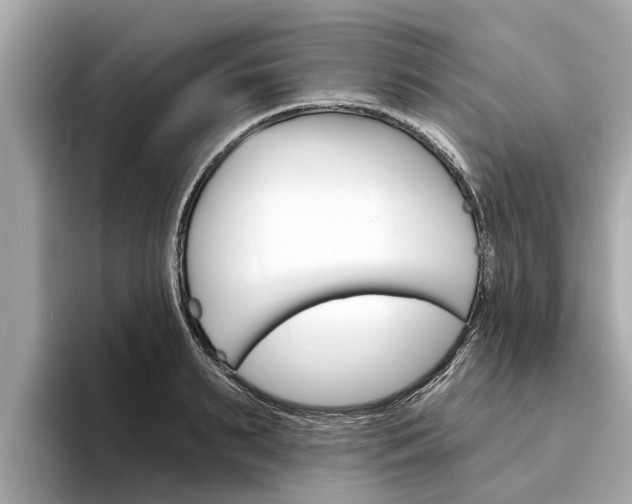 X0000094330895200711021129
