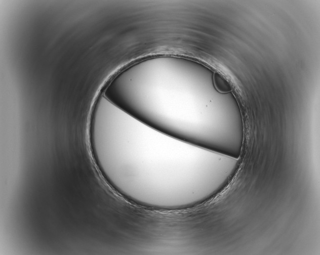 X0000094330896200711021129