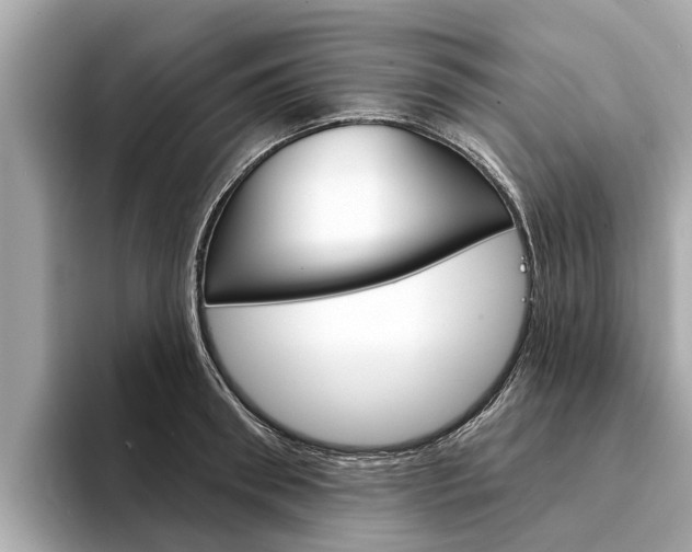 X0000094330898200711021129