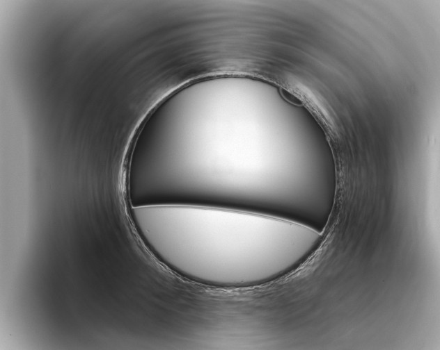 X0000094330900200711021129
