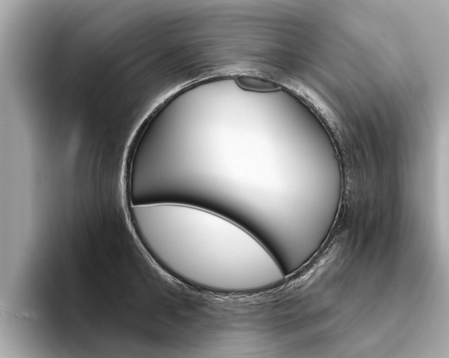 X0000094330902200711021129