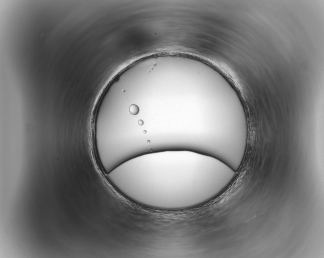 X0000094330903200711021129