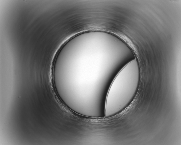 X0000094330904200711021129