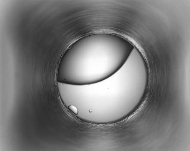 X0000094330905200711021129