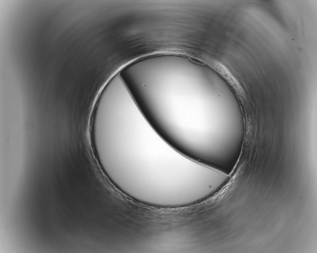 X0000094330908200711021129