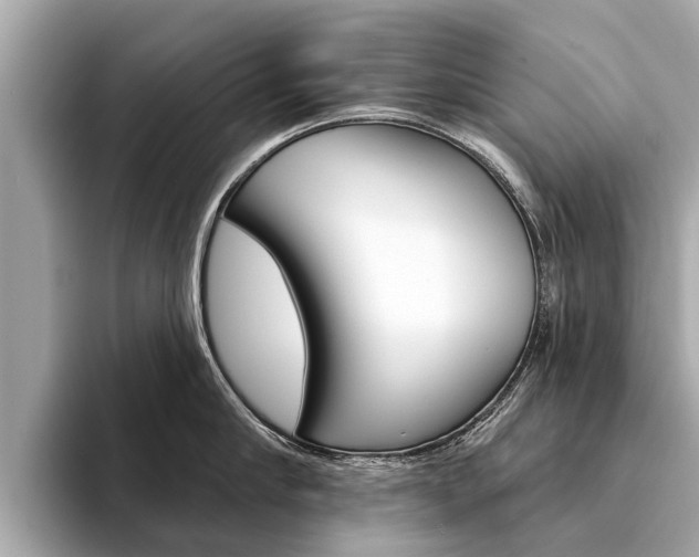 X0000094330910200711021129