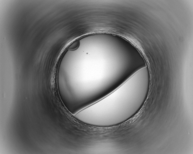 X0000094330912200711021129