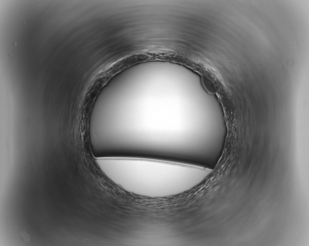 X0000094330920200711021128