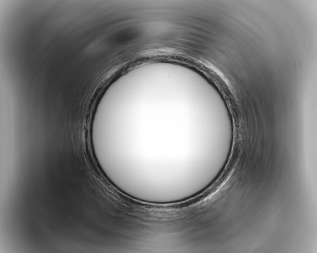 X0000094330921200711021128