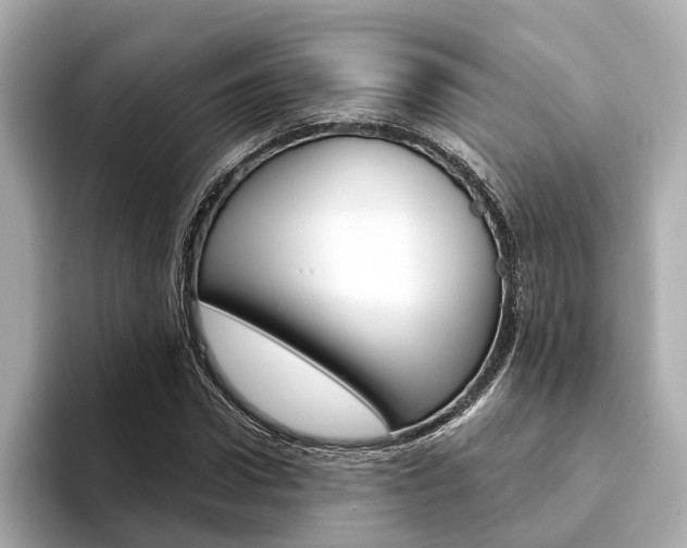 X0000094330922200711021128