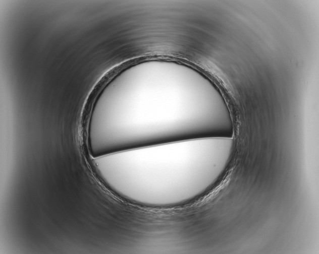 X0000094330924200711021128