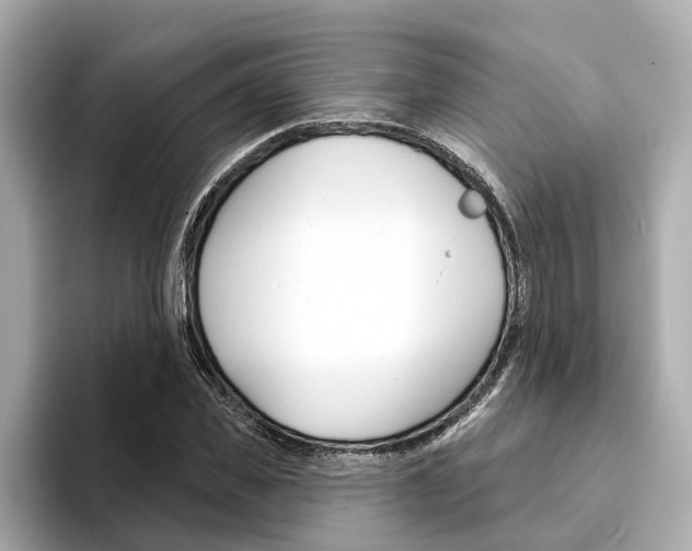 X0000094330925200711021128