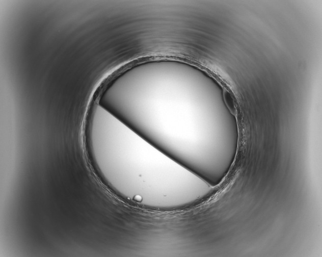 X0000094330928200711021128