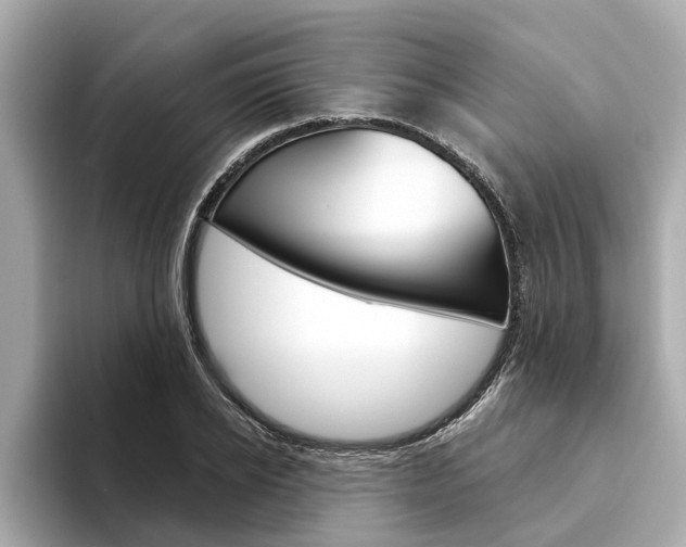 X0000094330934200711021128