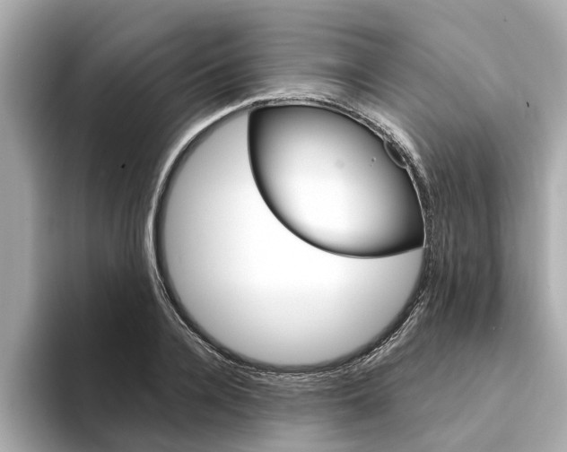 X0000094330936200711021128